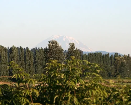 photo booth rental in woodinville Photo Booth Rental in Woodinville, WA