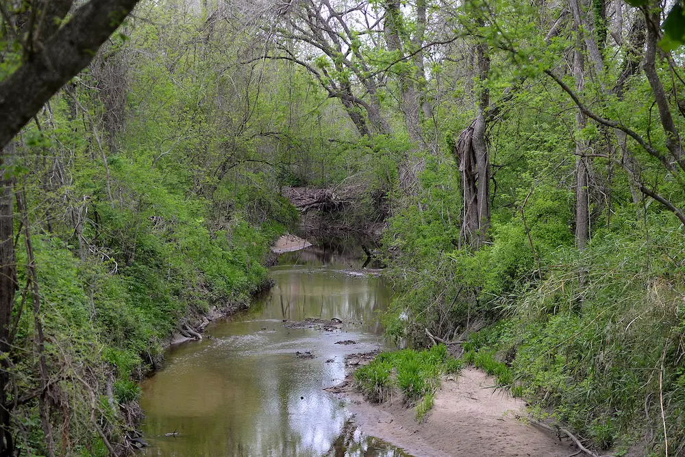 photo booth rental in mill creek east,_in_the_Blackland_Prairie_eco-region_of_Texas,_Washington_County,_Texas,_USA_(26_March_2016) photo booth rental in mill creek east